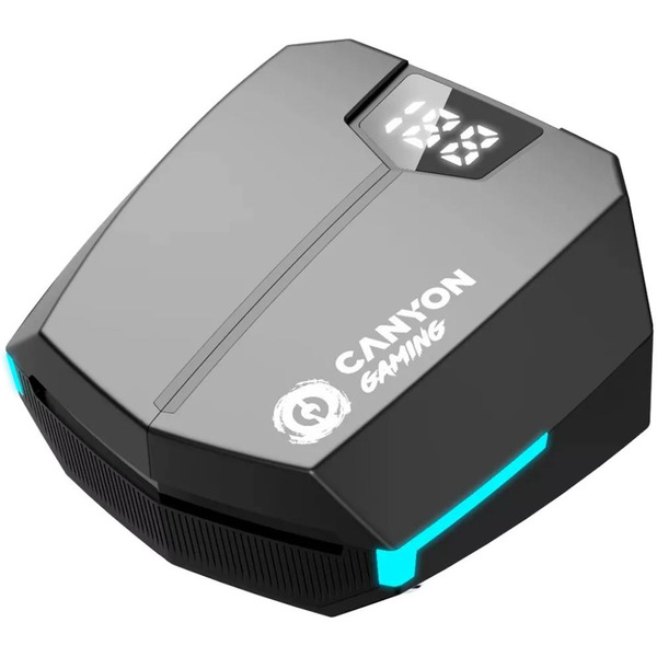 Наушники Canyon Doublebee GTWS-2 (CND-GTWS2B) черный