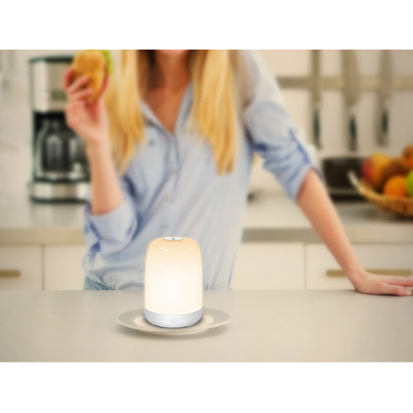 Ночник Evolution A100