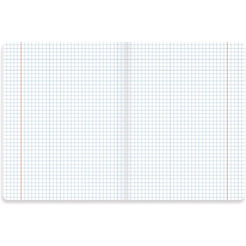 Тетради предметные BRAUBERG 404031 (КОМПЛЕКТ 10 ПРЕДМЕТОВ, 48л, SoftTouch, фольга)