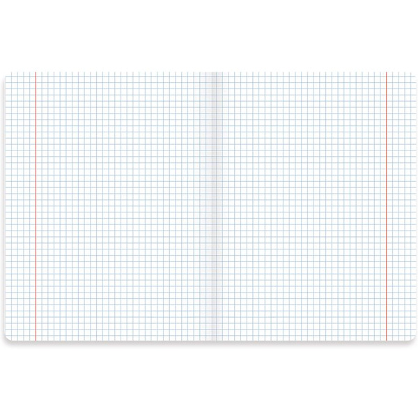 Тетради предметные BRAUBERG 404031 (КОМПЛЕКТ 10 ПРЕДМЕТОВ, 48л, SoftTouch, фольга)