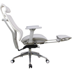 Кресло компьютерное EVOLUTION ERGO ELITE Grey