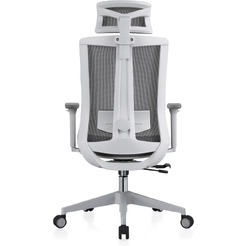 Кресло компьютерное EVOLUTION ERGO BLISS Grey