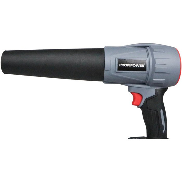 Набор инструментов Profipower ProfiSet-2D20 (воздуходувка, цепная пила)