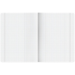 Тетради предметные BRAUBERG 405183 (КОМПЛЕКТ 12 ПРЕДМЕТОВ, 48л, SoftTouch)