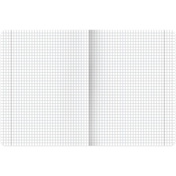 Тетради предметные BRAUBERG 405183 (КОМПЛЕКТ 12 ПРЕДМЕТОВ, 48л, SoftTouch)