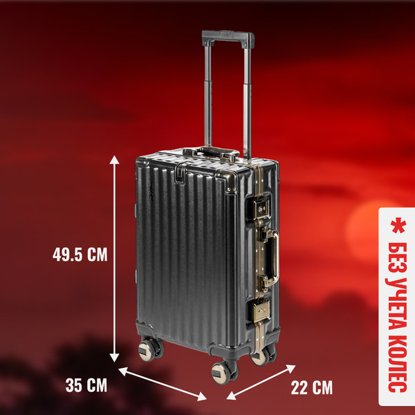 Чемодан DoubleW E087# (S,черный)