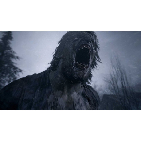 Игра Resident Evil Village для PS4 [русская версия]