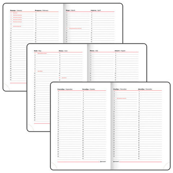 Ежедневник BRAUBERG недатированный Magnetic X 113281 (красный)