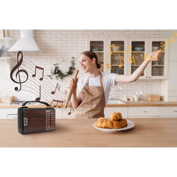 Радиоприемник Miru SR-1021