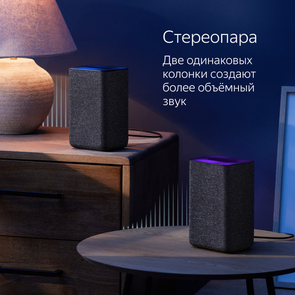 Умная колонка Яндекс.Станция 2 YNDX-00051K (антрацит)