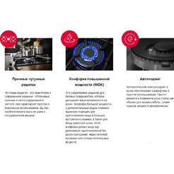 Варочная панель Hansa BHGW611391