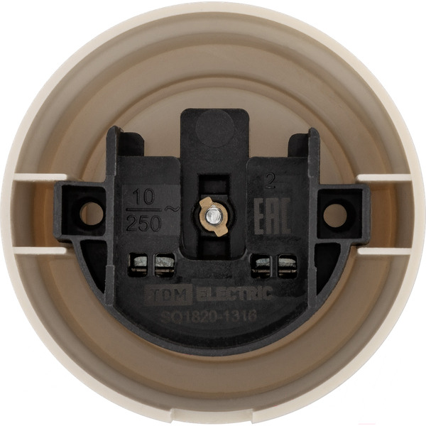 Розетка TDM Electric Виви SQ1820-1316 (слоновая кость)