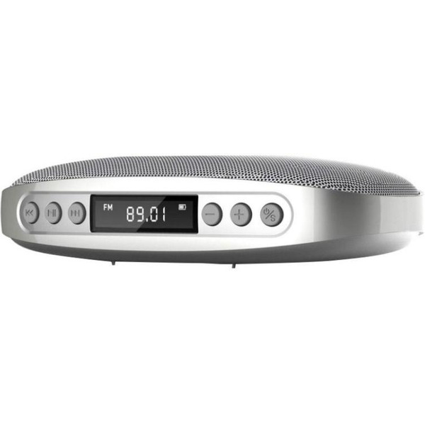 Активная акустическая система JBL TUNE SILVER
