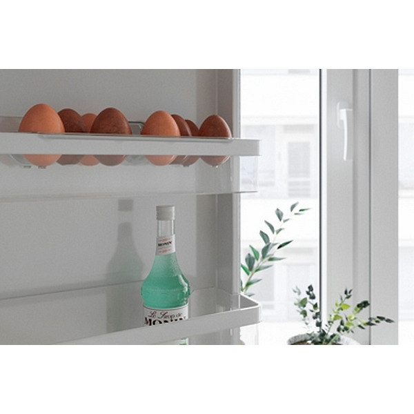 Емкость для яиц Berossi Berkana ИК 68700000 (прозрачный)