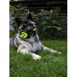 Игрушка для собак Fancy Pets Кактус FPP13