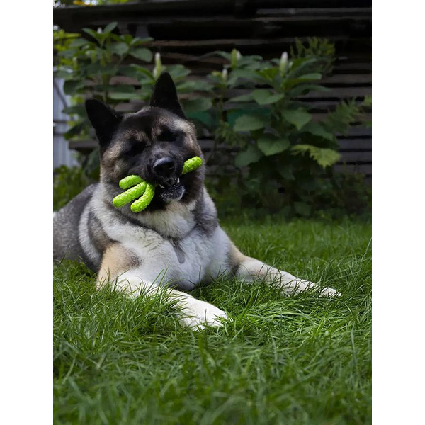 Игрушка для собак Fancy Pets Кактус FPP13