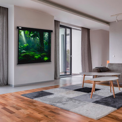 Экран Cactus CS-PSW-213X213-BK