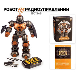 Робот Ausini На радиоуправлении BG1548