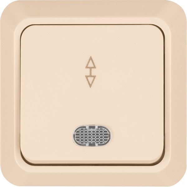 Переключатель TDM Electric Ладога SQ1801-0012 (слоновая кость)