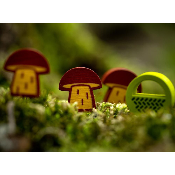 Настольная игра Стиль Жизни Грибные места LS147