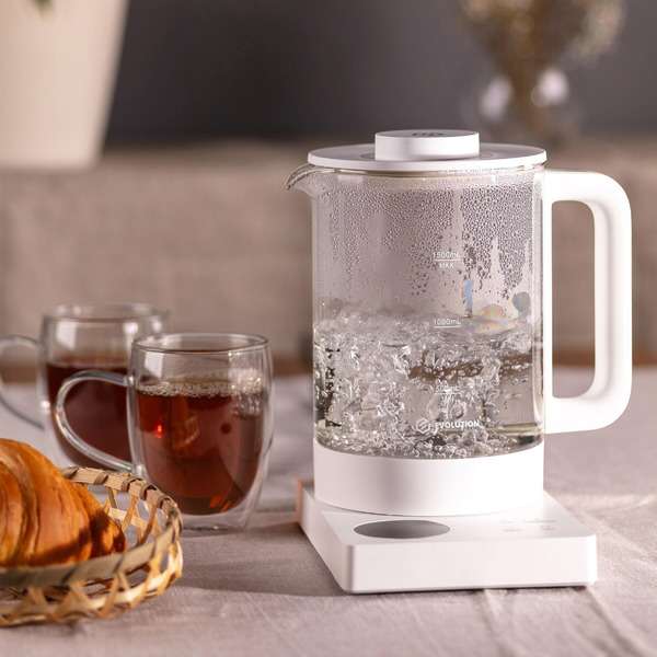 Электрочайник Evolution KG1015S THERMOCONTROL