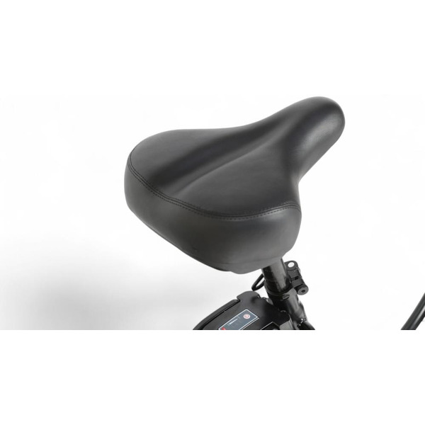 Электровелосипед SAMEBIKE City Master Fat (MY-E02 черный)