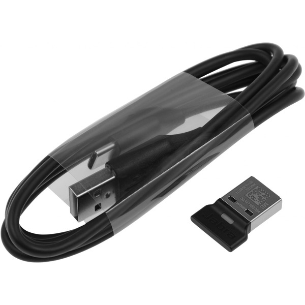 Офисная гарнитура Jabra Evolve2 65 MS Stereo USB-A (черный)