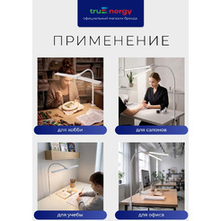 Светильник TRUENERGY TASK 29553