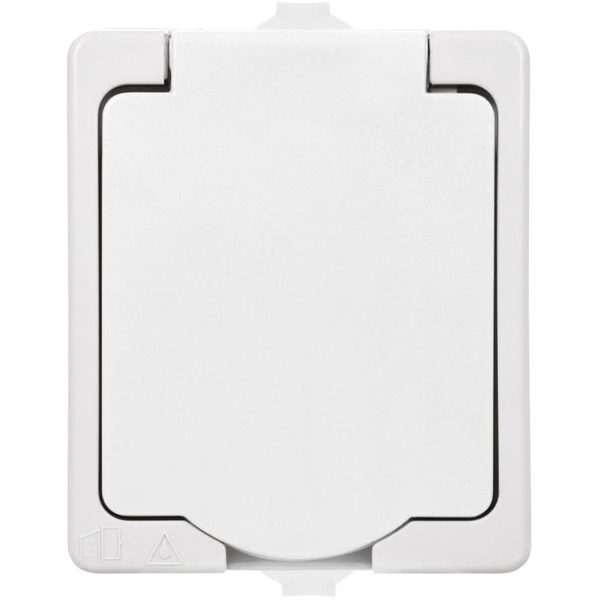 Розетка TDM Вуокса SQ1803-1007