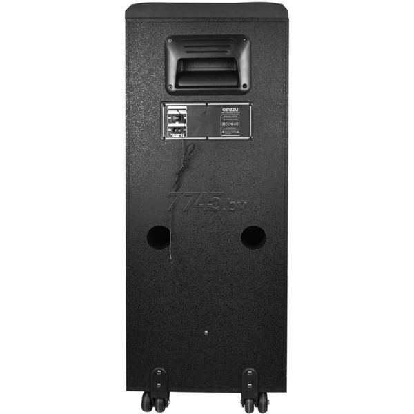 Колонка для вечеринок Ginzzu GM-203