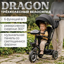 Беговел-велосипед Bubago Dragon BG 161-4 (черный)