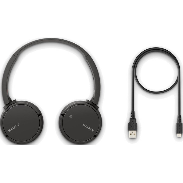 Наушники с микрофоном Sony WH-CH500 Black