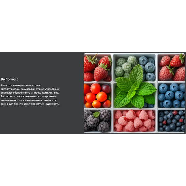 Холодильник TECHNO DF1-20N