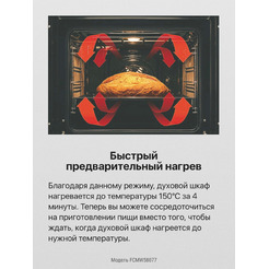 Кухонная плита Hansa FCMW58077