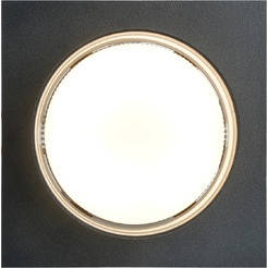 Светильник Feron DL501 51088