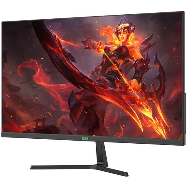 Монитор ELSA EA251S