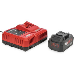 Аккумулятор с зарядным устройством Skil CB5196SE12 (20В/4 Ah + 20В)