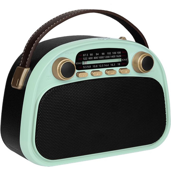 Радиоприемник Ritmix RPR-040 (мятный)