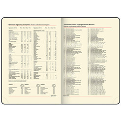 Ежедневник BRAUBERG недатированный Iguana 114456 (лиловый)