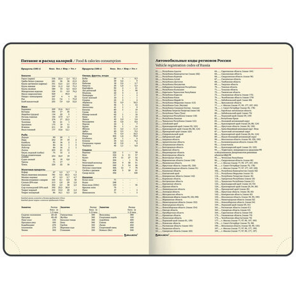 Ежедневник BRAUBERG недатированный Iguana 114456 (лиловый)