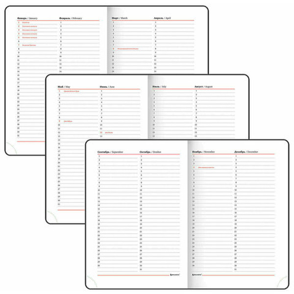 Ежедневник недатированный BRAUBERG Bond 126220