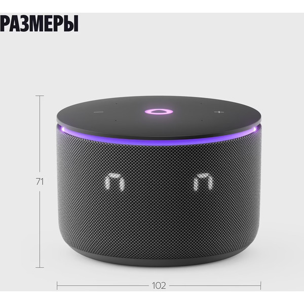 Умная колонка Яндекс.Станция Мини 3 Про (YNDX-00059BLK) черный