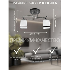 Потолочный светильник Aitin-Pro НПБ 02-2x60-101 / 7542/2 (черный/хром)