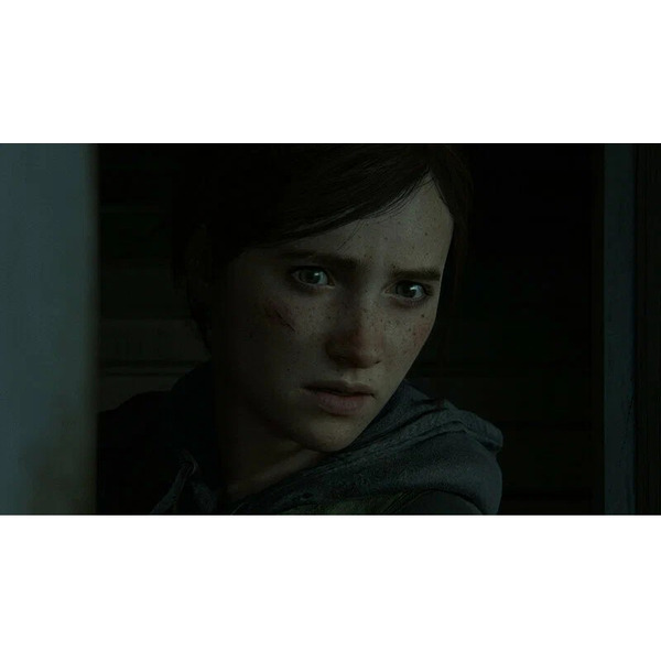 Игра The Last of Us Part II для PlayStation 4 (русская версия)