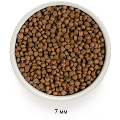 Сухой корм для кошек Grandorf Cat 4 Meat Probiotic Sterilised (2кг)