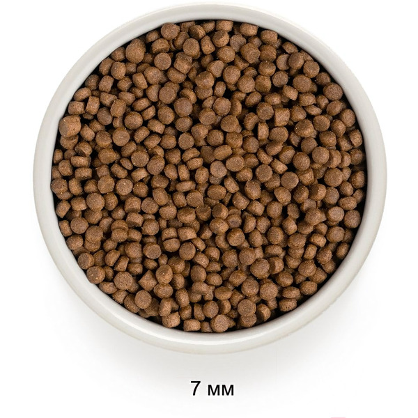 Сухой корм для кошек Grandorf Cat 4 Meat Probiotic Sterilised (2кг)