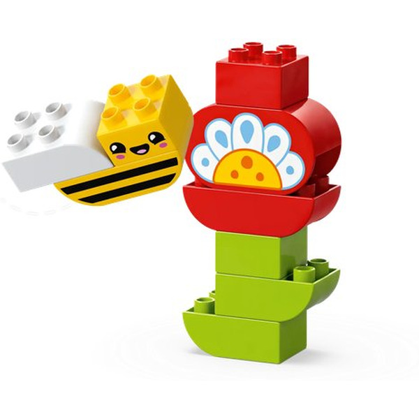 Конструктор Lego Duplo Креативный цветочный сад 10444
