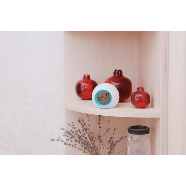 Метеостанция BRADEX TD 0742