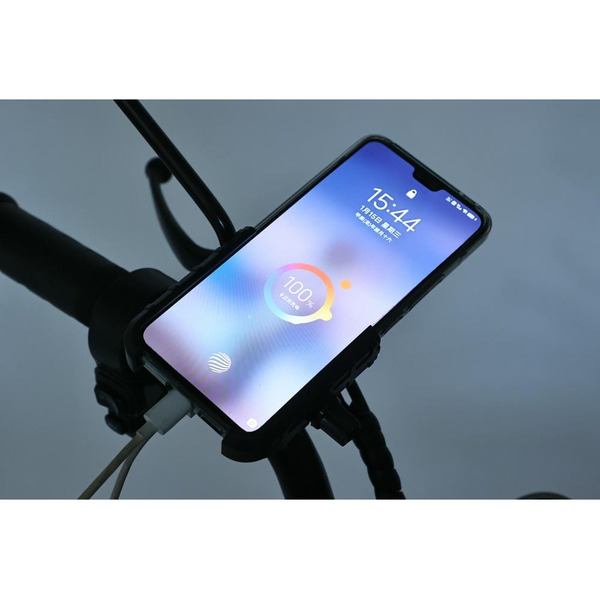 Электровелосипед SmartBalance Fiesta Pro