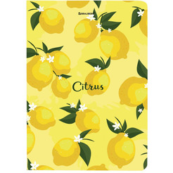 Блокнот BRAUBERG 113727